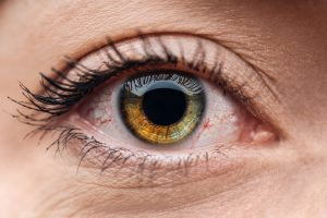 close up view of human brown and green colorful eye with eyelashes close up view of human brown and green colorful eye with eyelashes